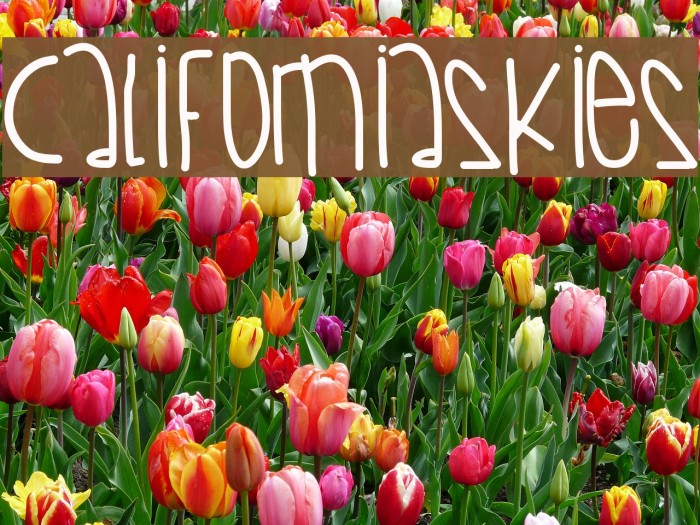 CaliforniaSkies Font examples