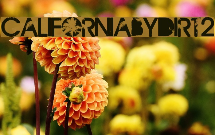 CaliforniabyDirt2 Example 1