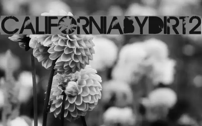CaliforniabyDirt2 Font examples