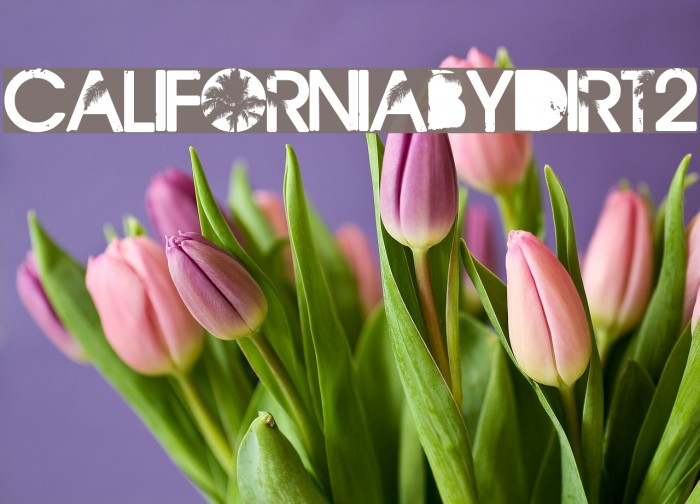 CaliforniabyDirt2 Example 2