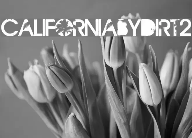 CaliforniabyDirt2 Font examples
