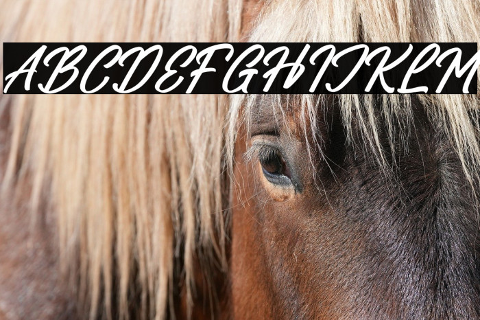 Caligature Hunters Italic Example 2