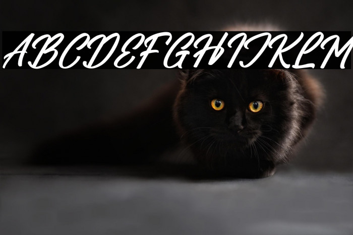 Caligature Hunters Italic Example 3