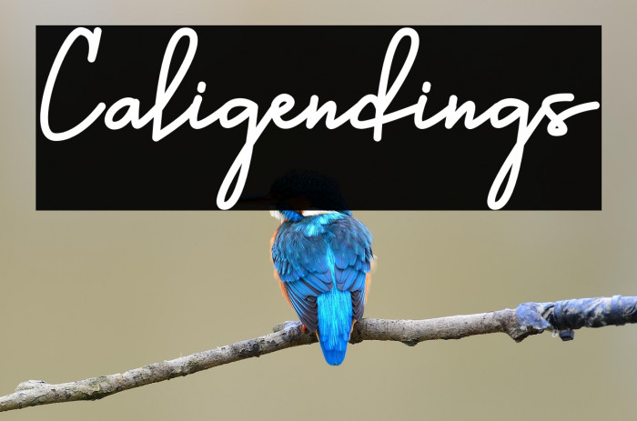 Caligendings Example 1