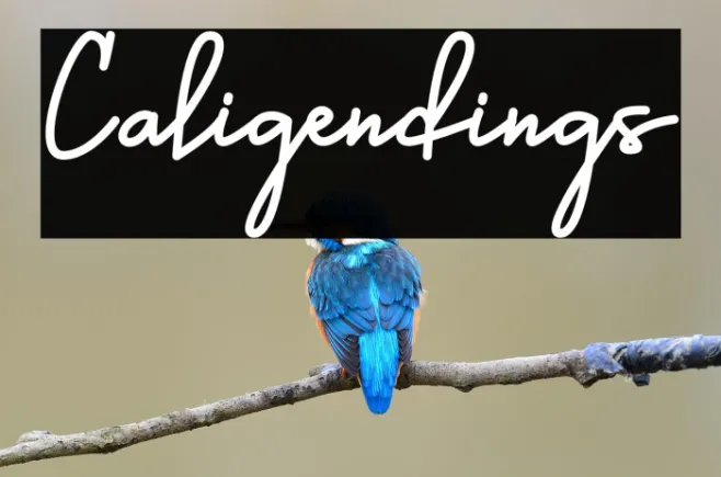 Caligendings Example 1