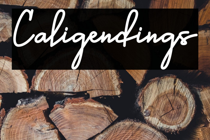 Caligendings Example 3