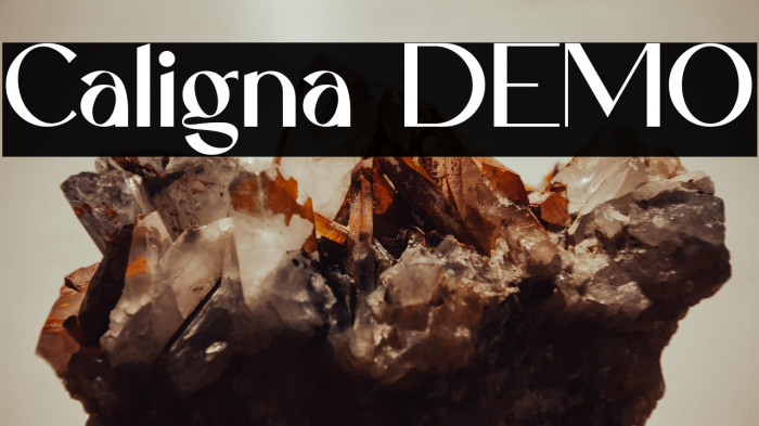 Caligna DEMO Example 1