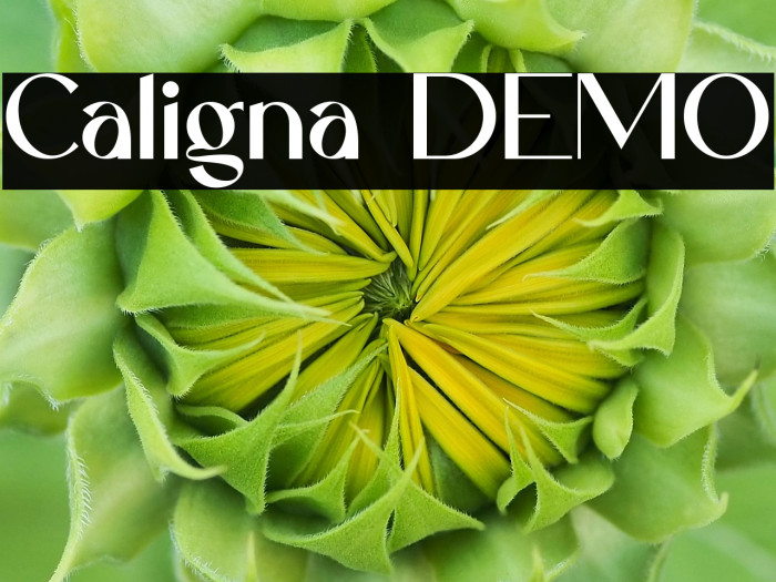 Caligna DEMO Example 3