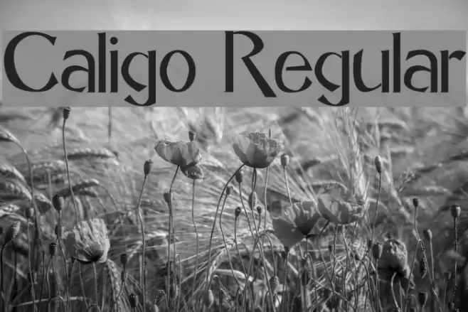 Caligo Regular Font examples