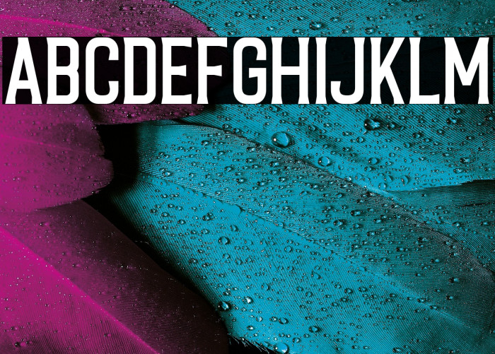 CaligorClean Example 1