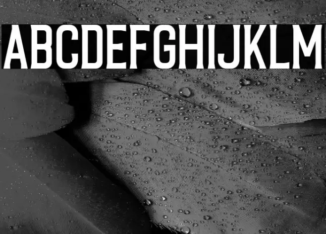 CaligorClean Font examples