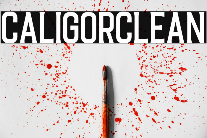 CaligorClean Example 1