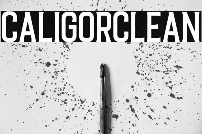 CaligorClean Font examples