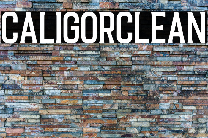CaligorClean Example 2