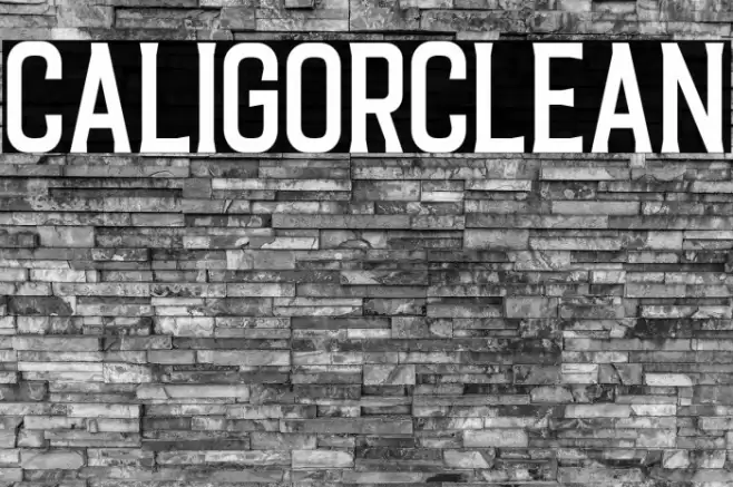 CaligorClean Font examples