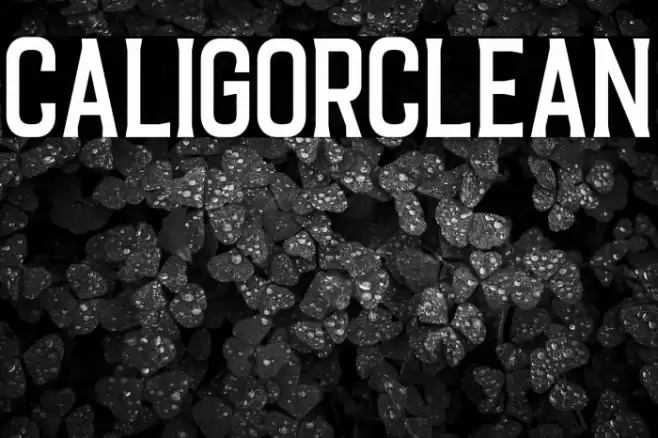 CaligorClean Font examples