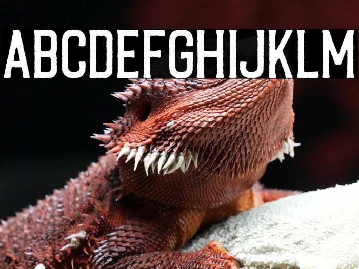 CaligorEdge Example 1