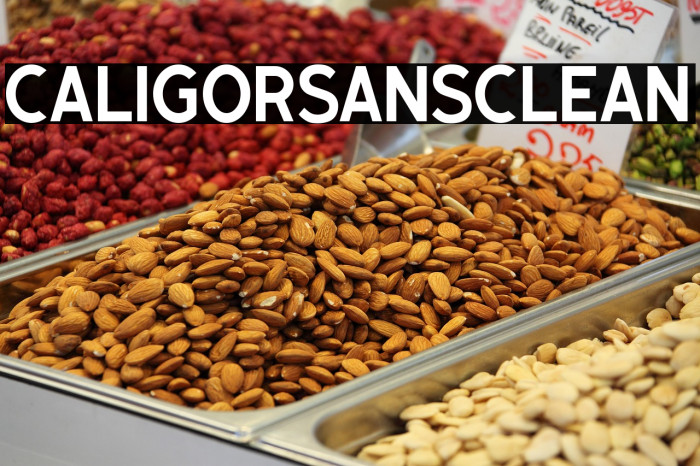 CaligorSansClean Example 2