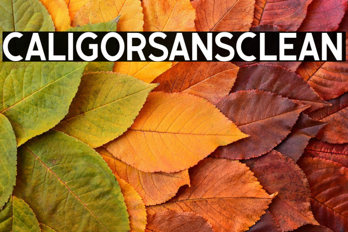 CaligorSansClean Example 3