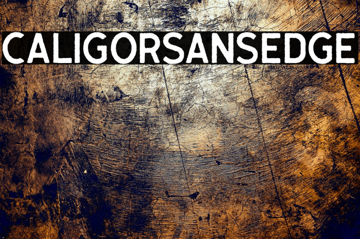 CaligorSansEdge Example 1