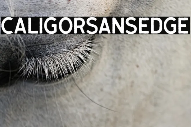 CaligorSansEdge Example 2
