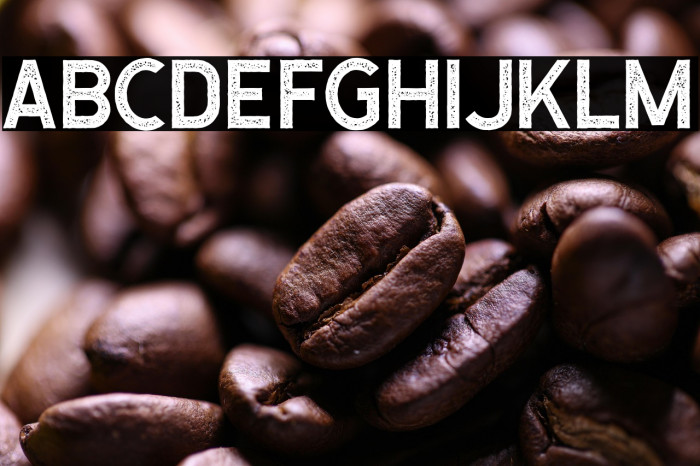 CaligorSansStamp Example 2