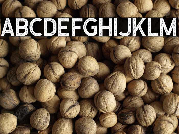 CaligorSansStamp Example 2