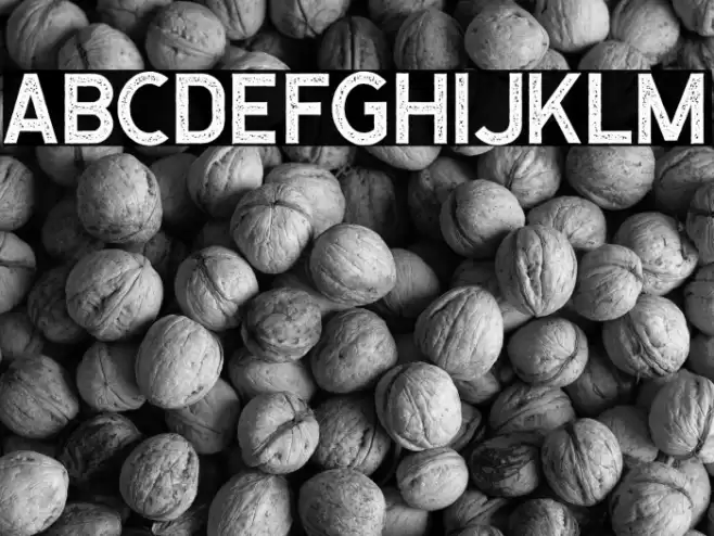 CaligorSansStamp Font examples