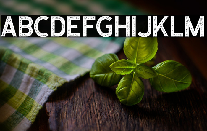 CaligorSansStamp Example 3