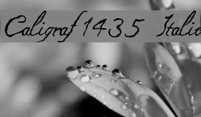 Caligraf 1435 Italic Font examples