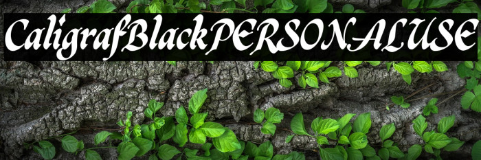 CaligrafBlackPERSONALUSE Example 2