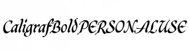 CaligrafBoldPERSONALUSE  Скачать бесплатные шрифты