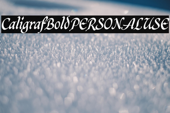 CaligrafBoldPERSONALUSE Example 2