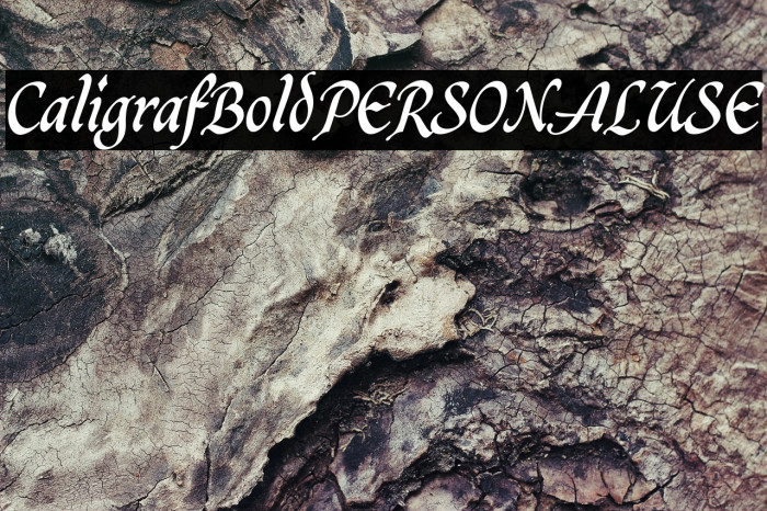 CaligrafBoldPERSONALUSE Example 3