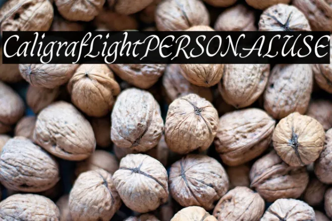 CaligrafLightPERSONALUSE Example 3