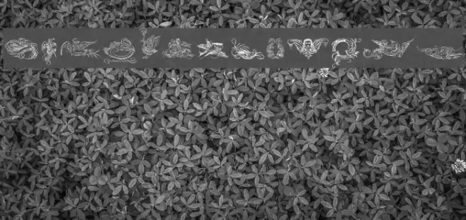 CaligrafiaDivina Fonte examples