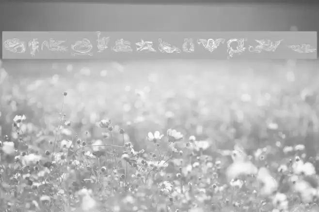 CaligrafiaDivina Fonte examples