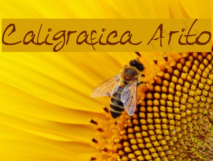 Caligrafica Arito Font examples