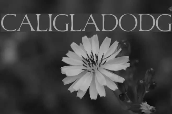 CaligulaDodgy Font examples