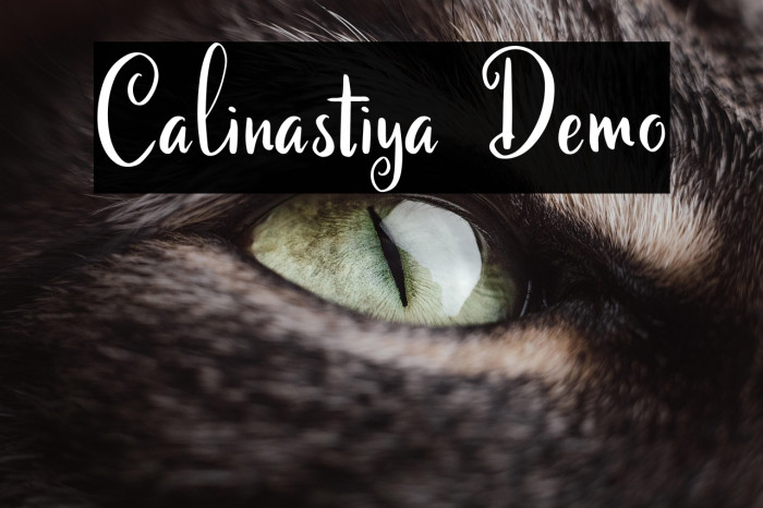 Calinastiya Demo Example 1