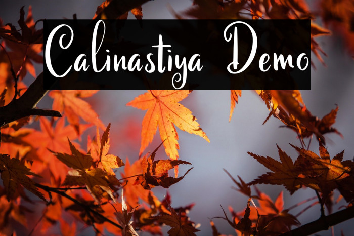 Calinastiya Demo Example 3