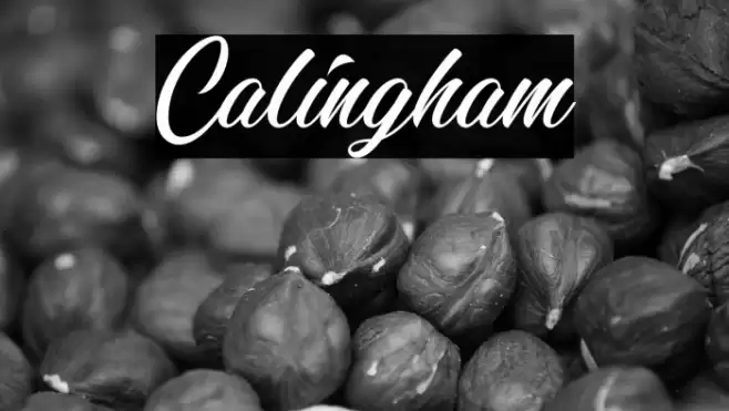 Calingham Font examples