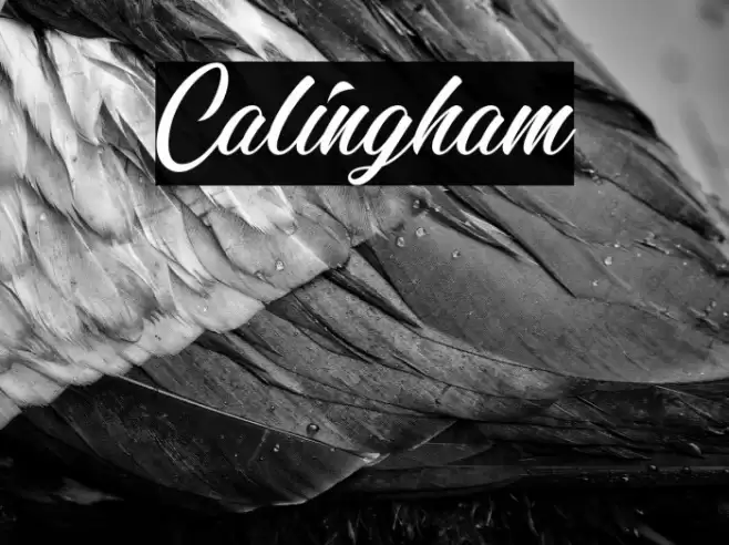 Calingham Font examples