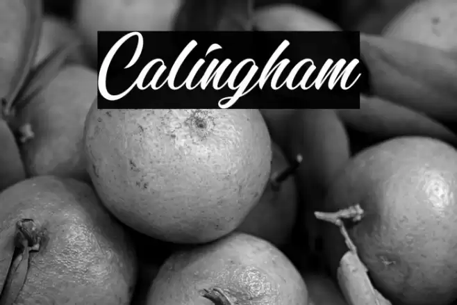 Calingham Font examples