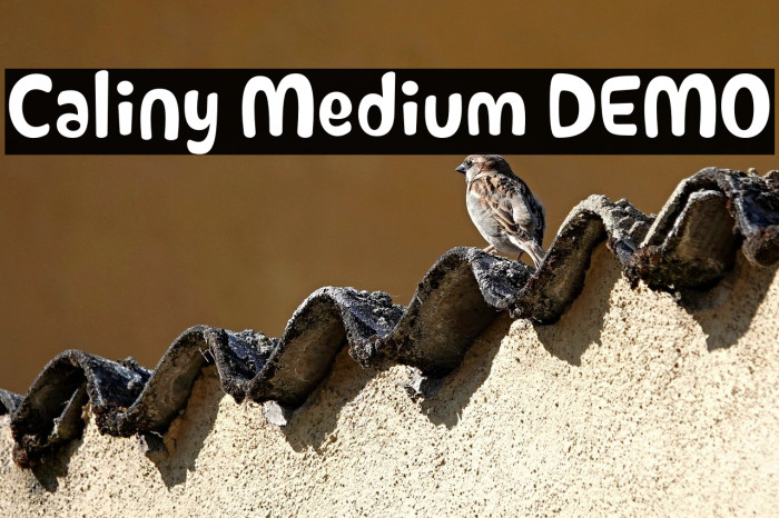 Caliny Medium DEMO Example 1