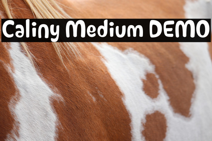Caliny Medium DEMO Example 3