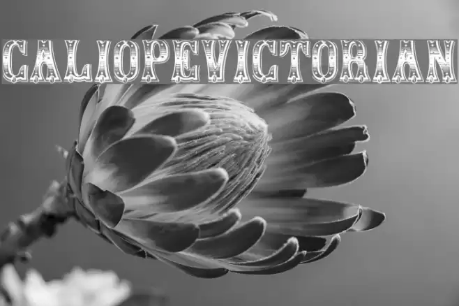CaliopeVictorian Font examples
