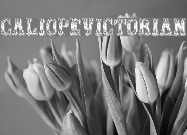 CaliopeVictorian Font examples