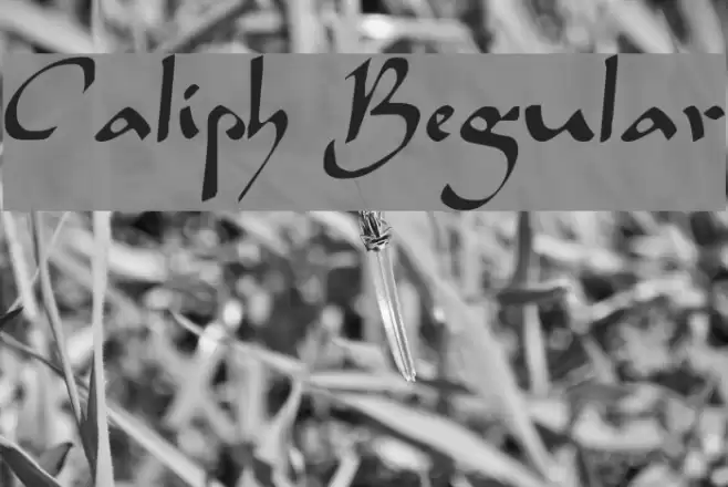 Caliph Regular Font examples