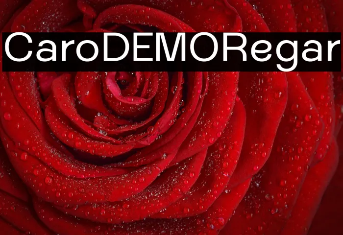 CaliroDEMO Regular Example 1